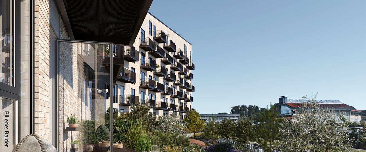 Strandby-Høje---Balder-Danmark